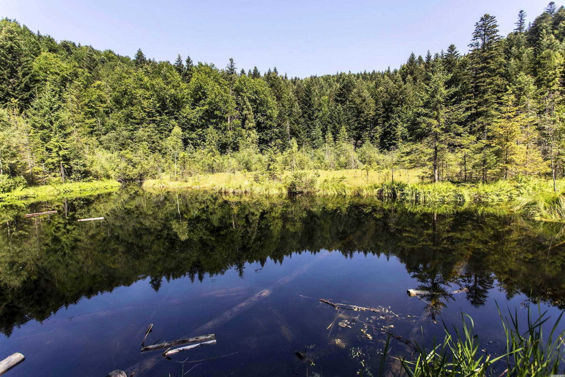 Львовская область, озеро Журавлиное