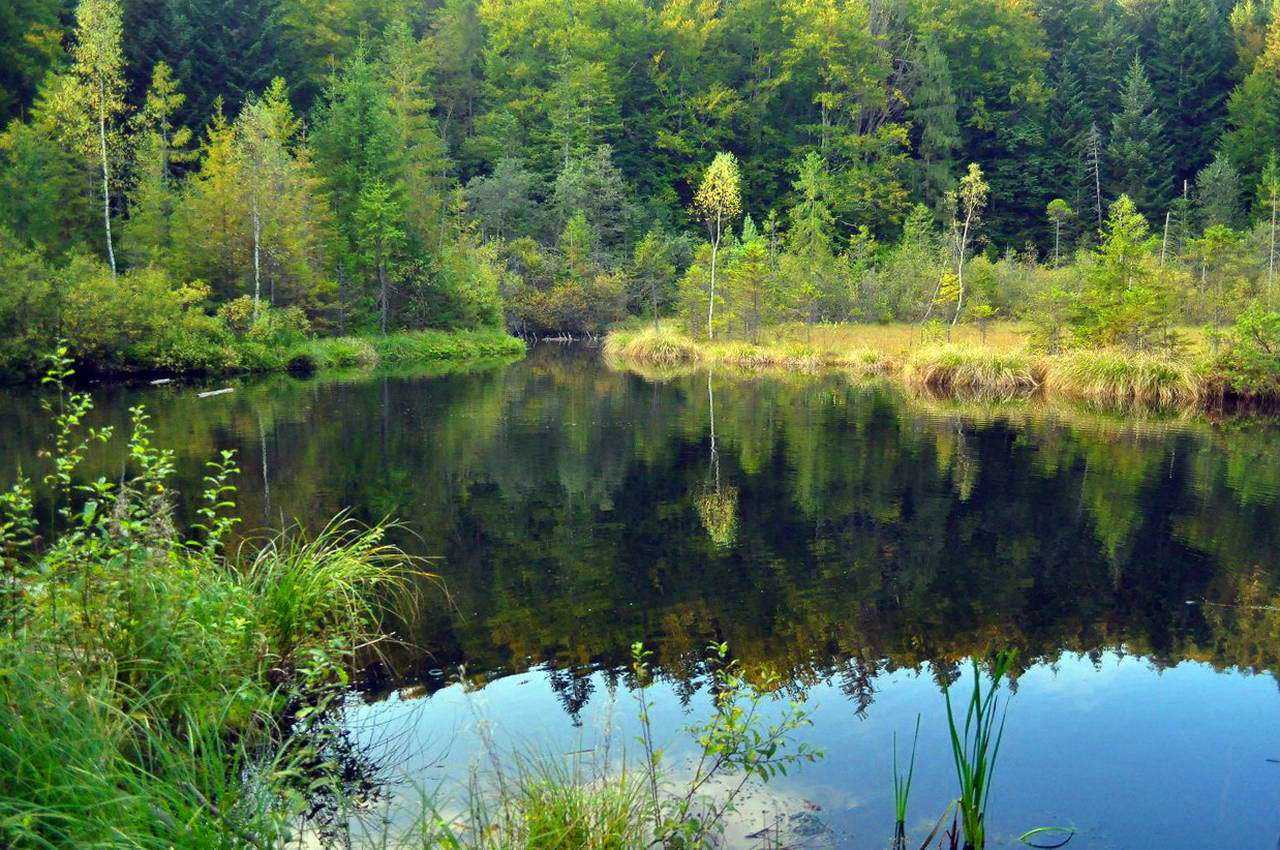 Львовская область, Мертвое озеро Журавлиное