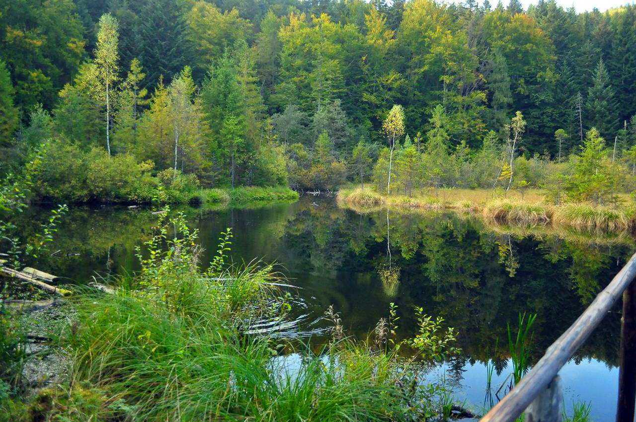 Сколевский район, озеро Журавлиное
