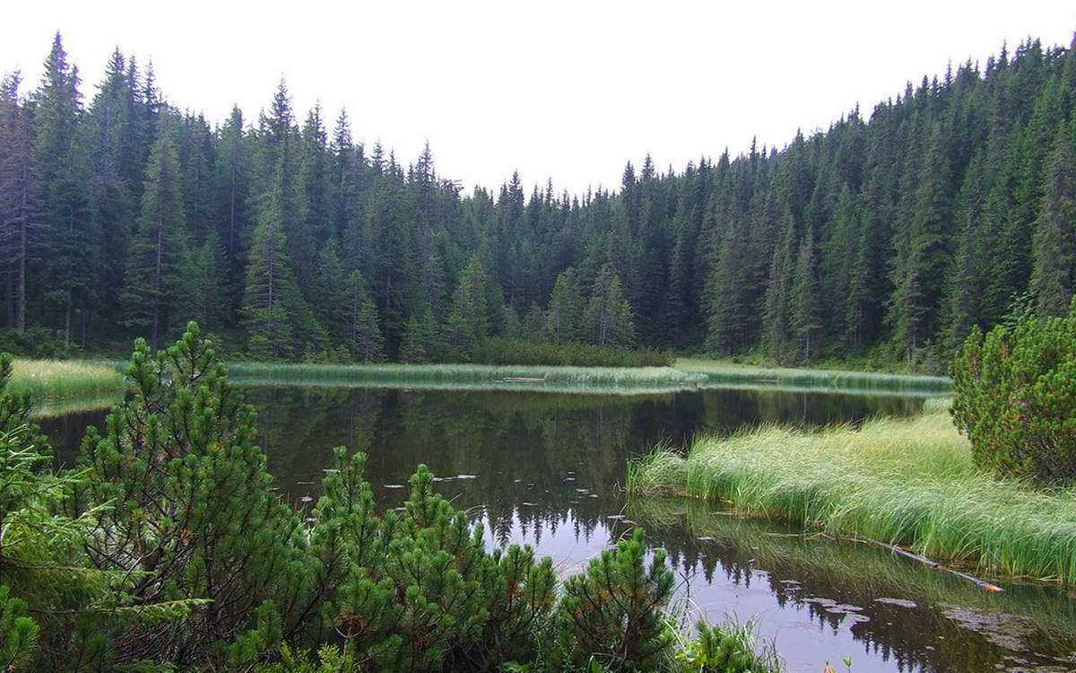 Ивано-Франковская область, озеро Маричейка