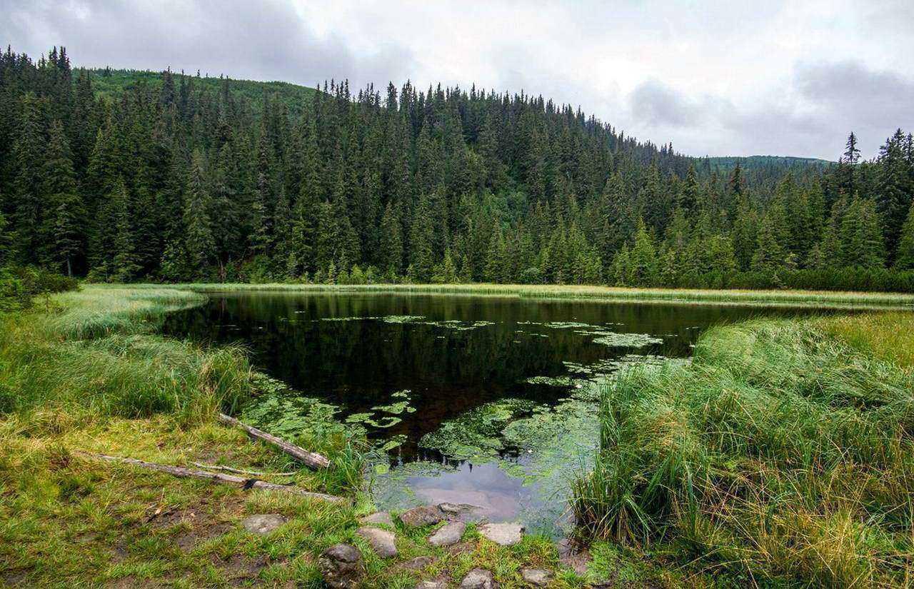 Карпаты, озеро Маричейка