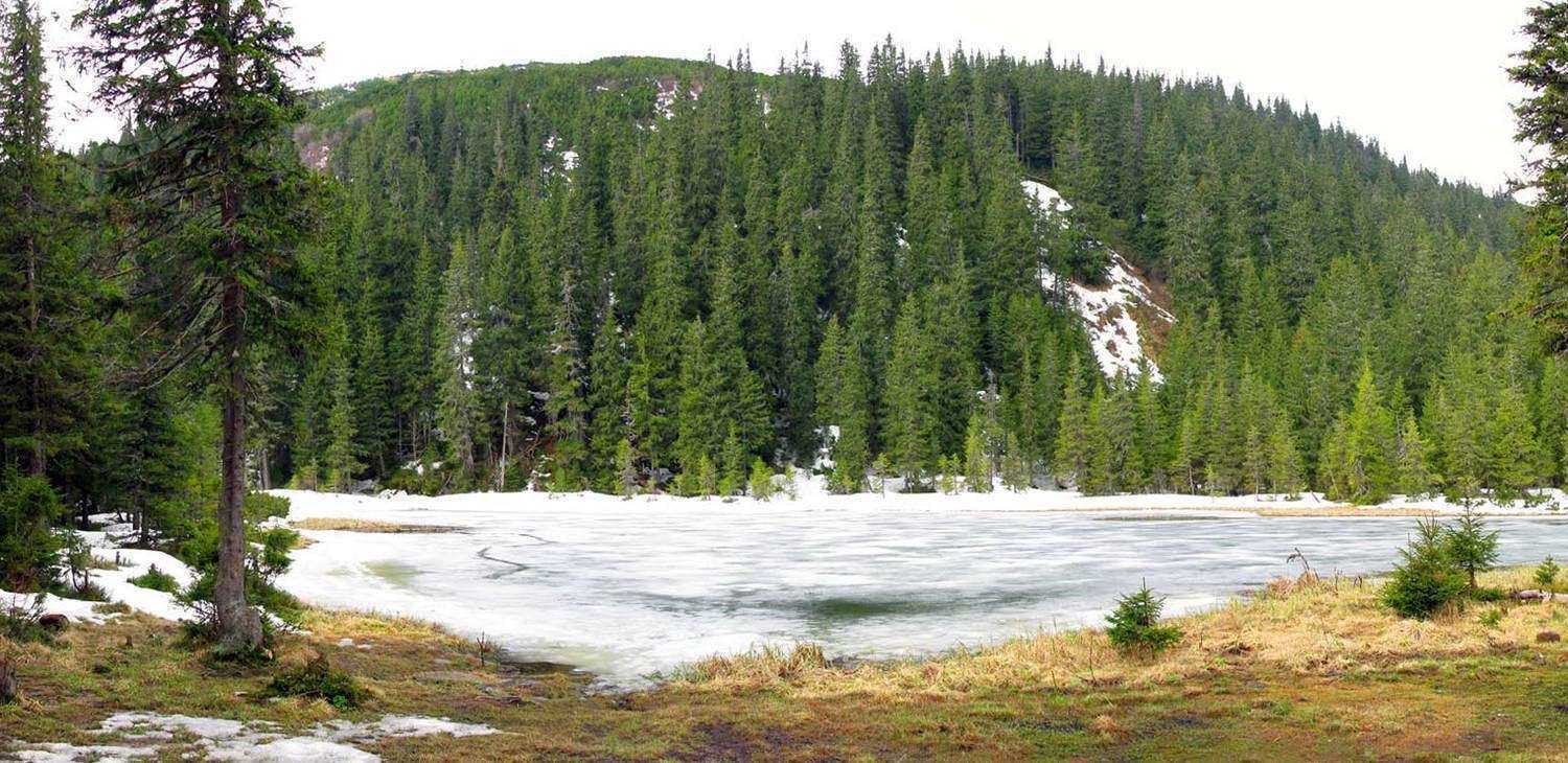 Ивано-Франковская область, озеро Маричейка