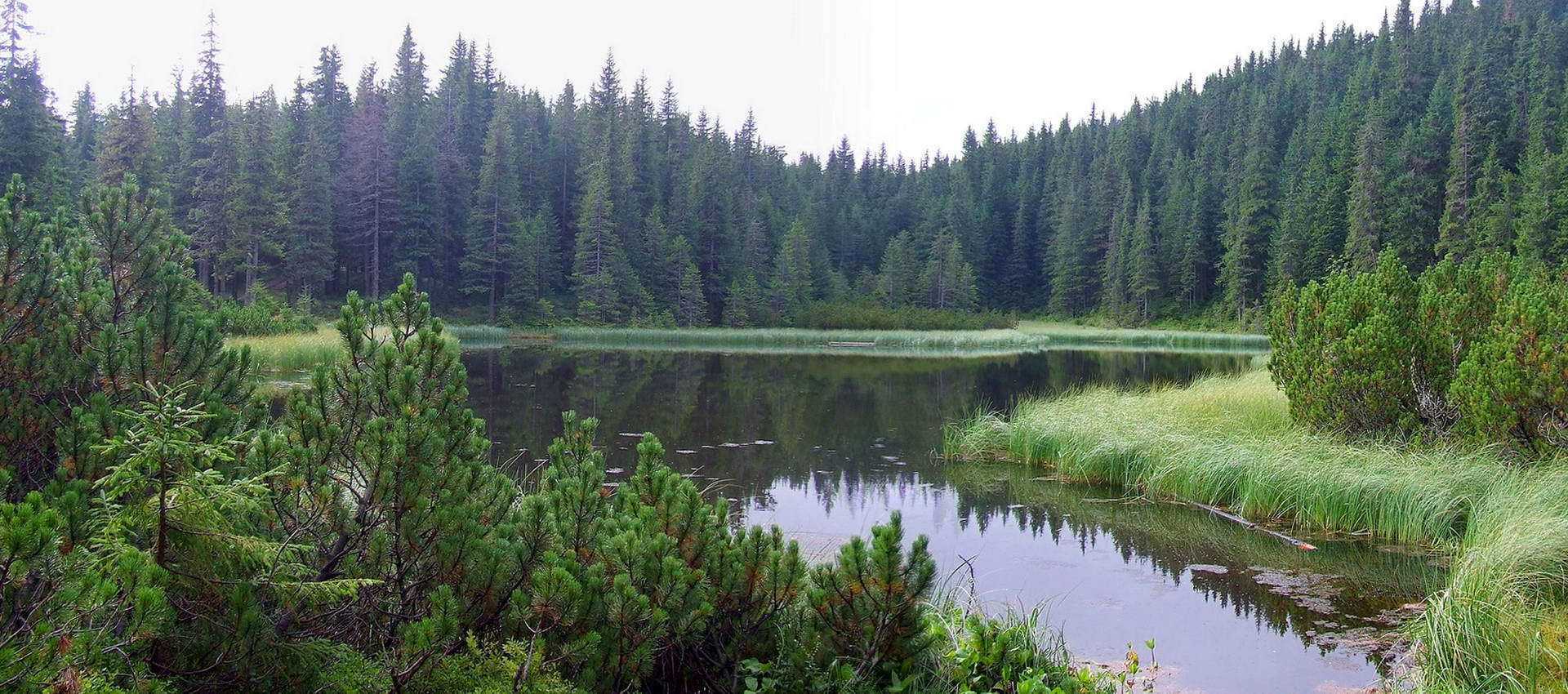 Карпатский национальный парк, озеро Маричейка