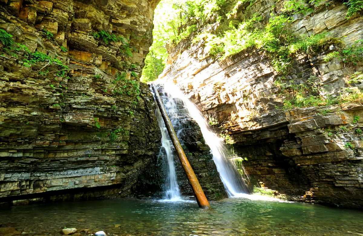 Бухтивецкий вдп.