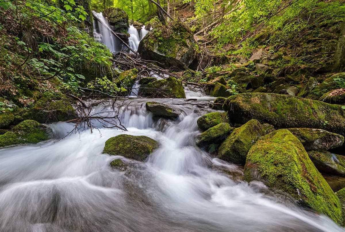 вдп. Воеводин