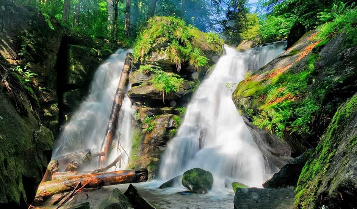 вдп. Воеводин