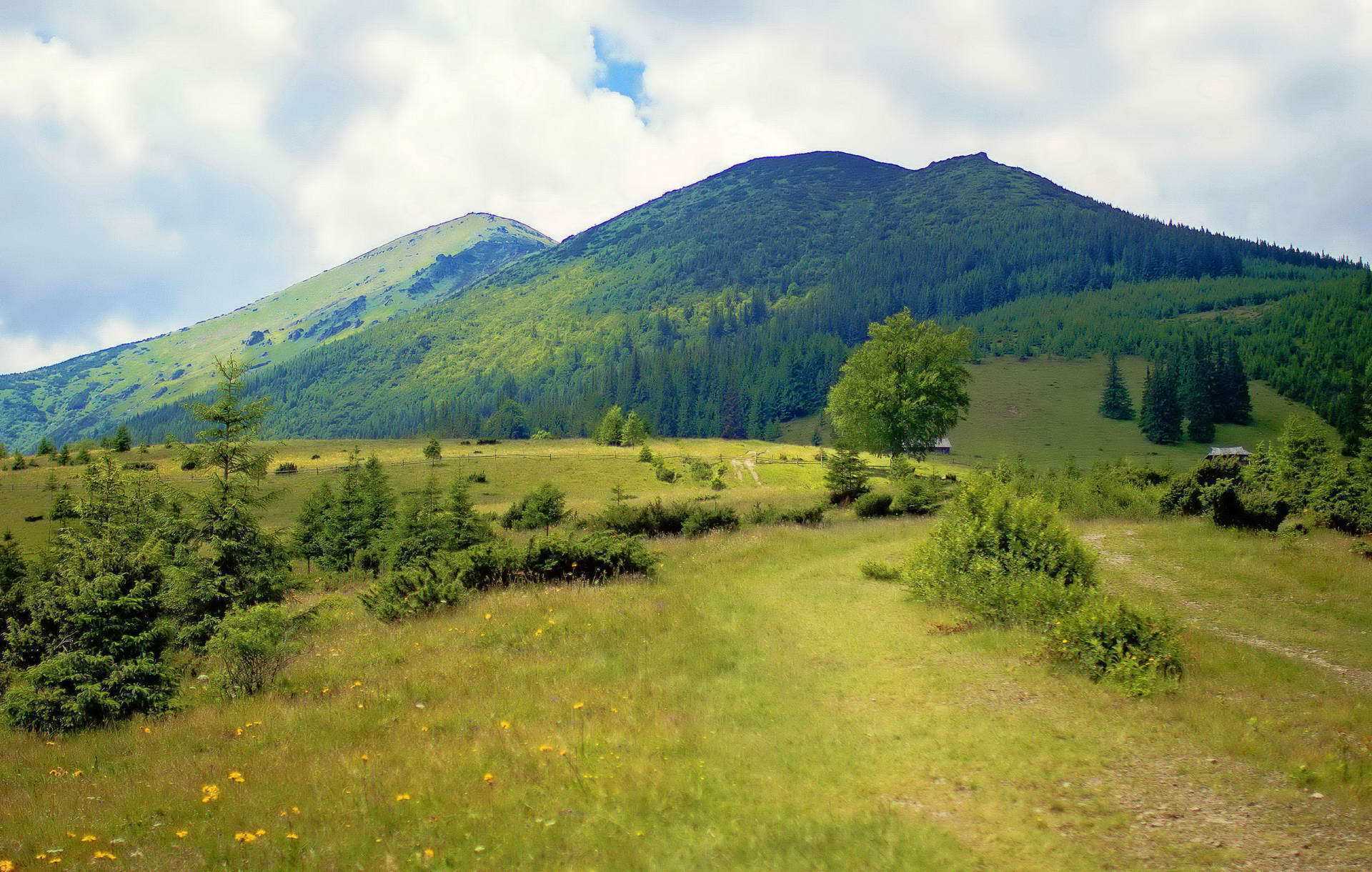 Вид на гору Смотрич, полонина