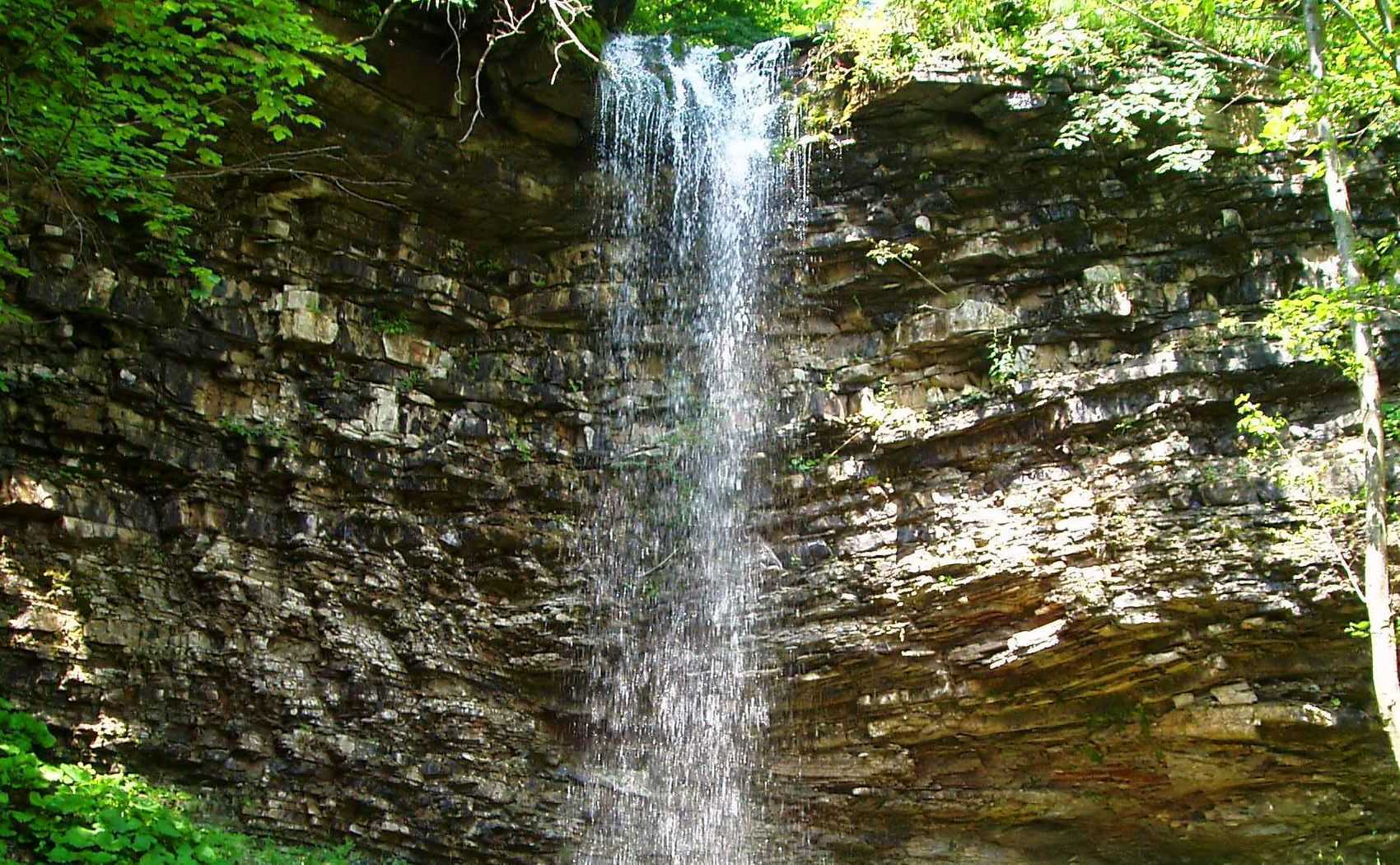 Капельный вдп.