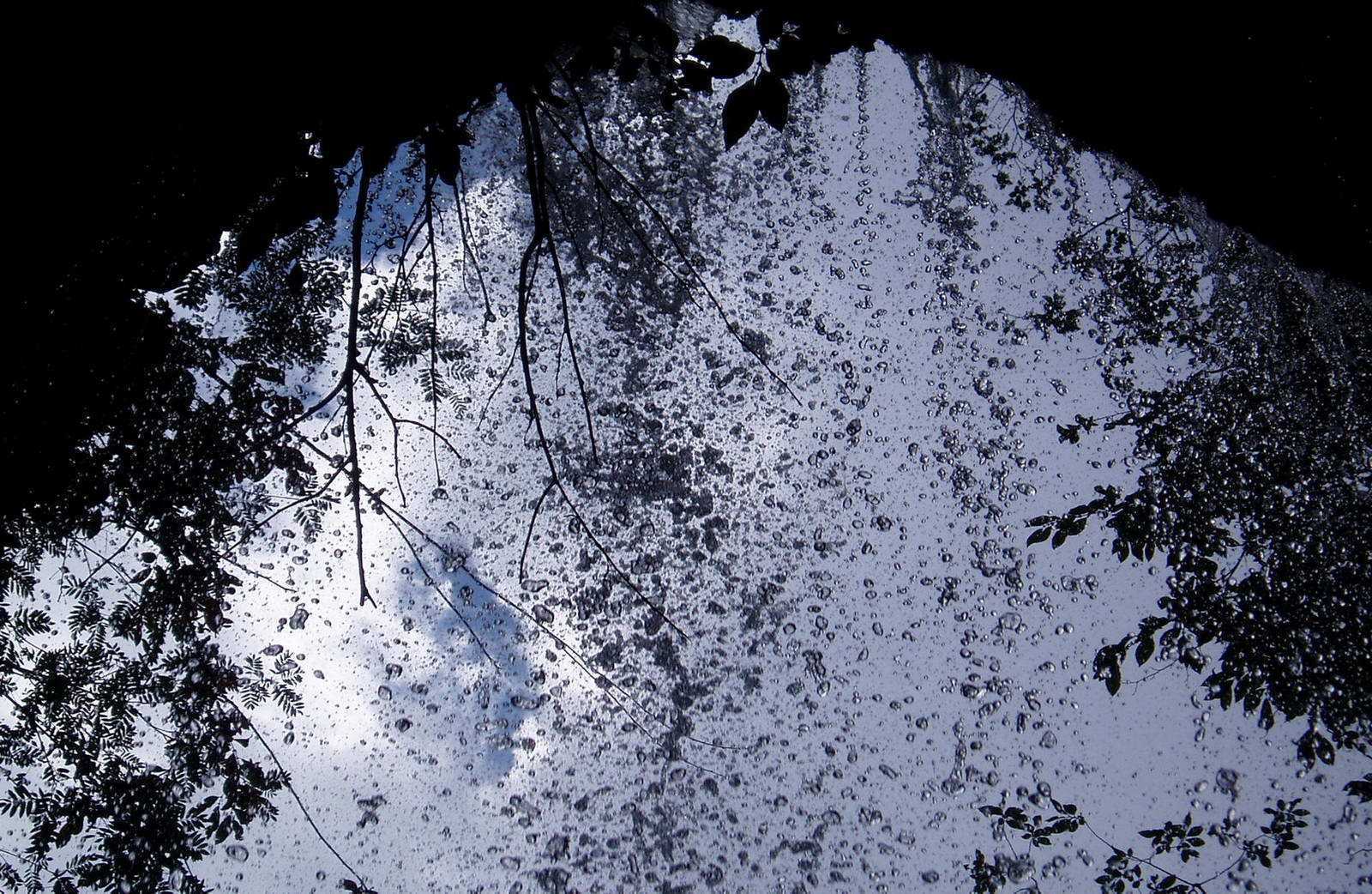 Капельный вдп., вид изнутри