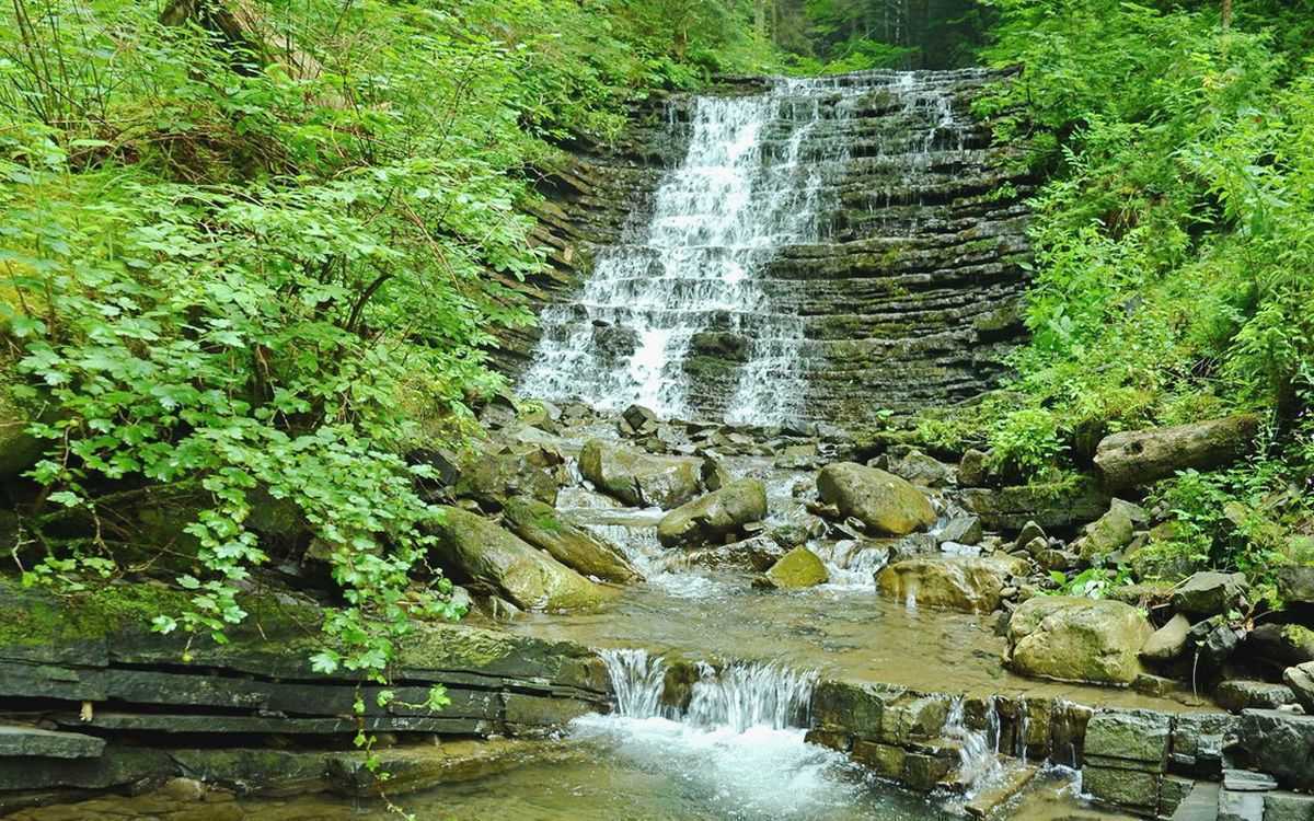 Вдп. Кудринец