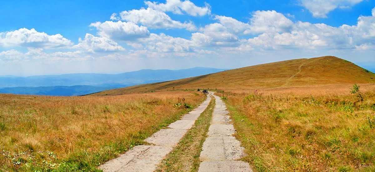 Полонина Руна (Ровная), недалеко от с. Лумшоры Полонина Руна