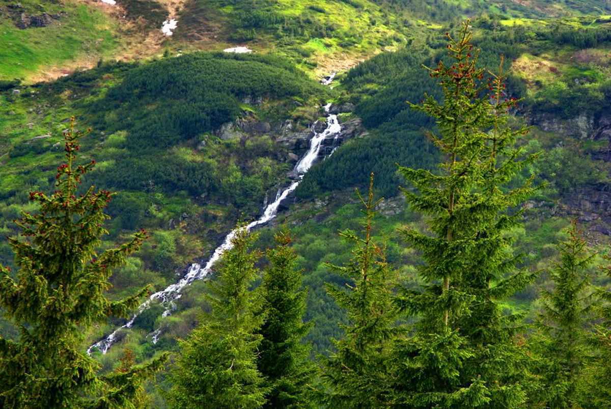 Водопад Прутский (Говерлянский)