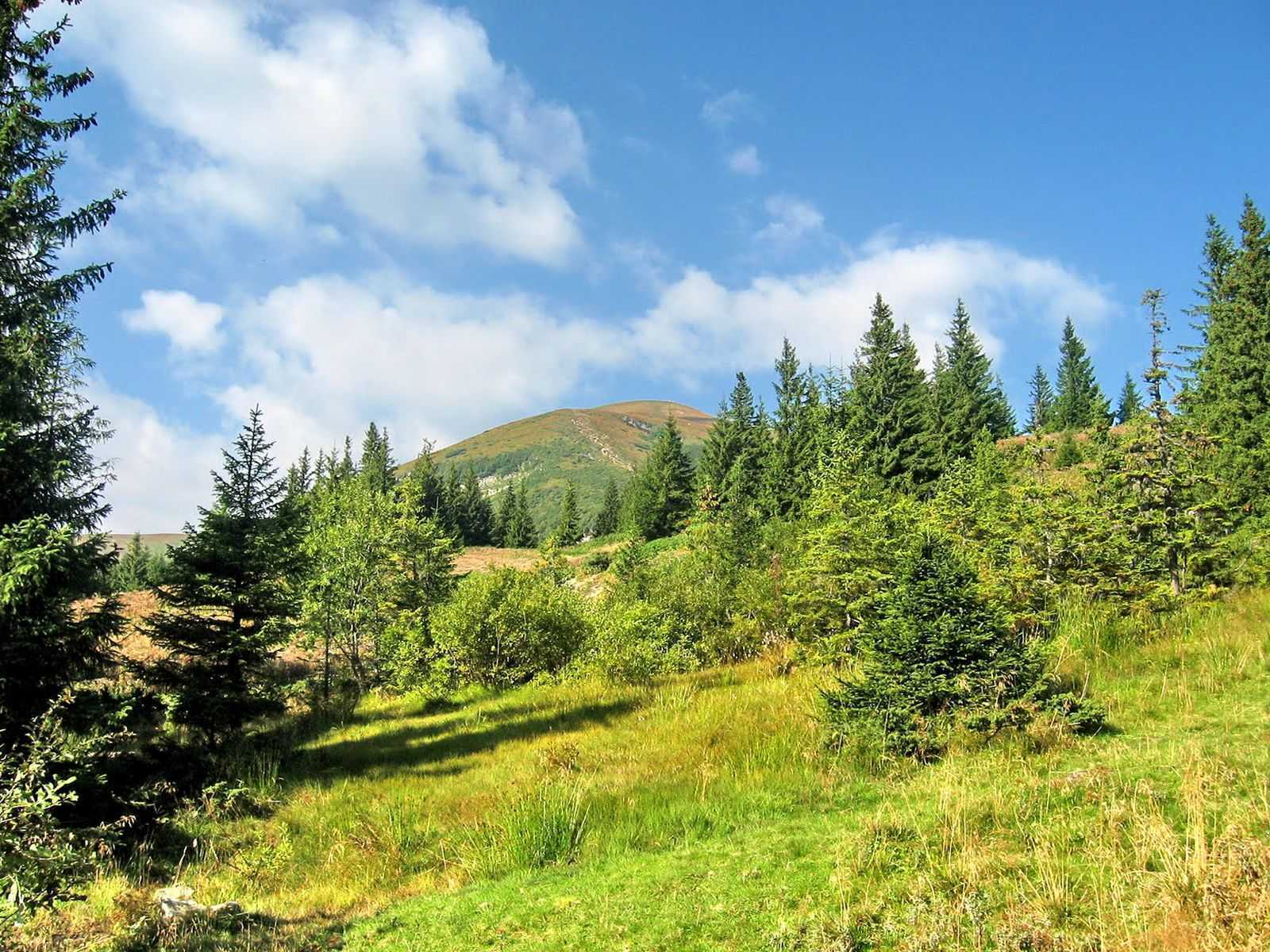 Маршрут на Говерлу из Заросляка