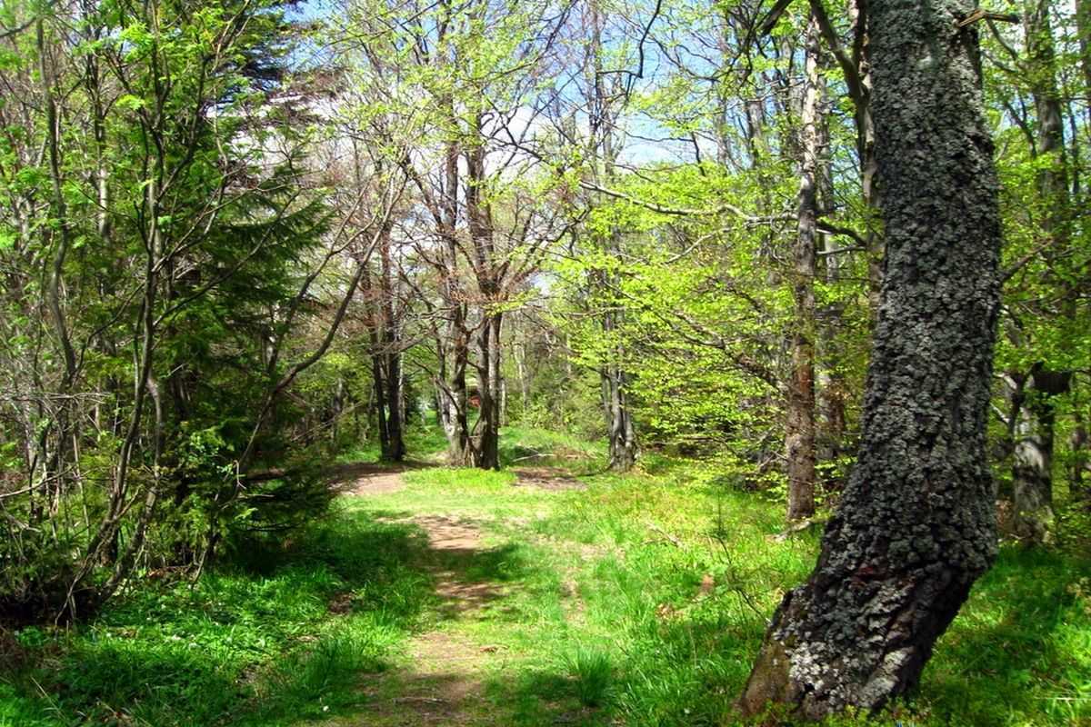 Маршрут на гору Ключ через Кам'янецький водоспад