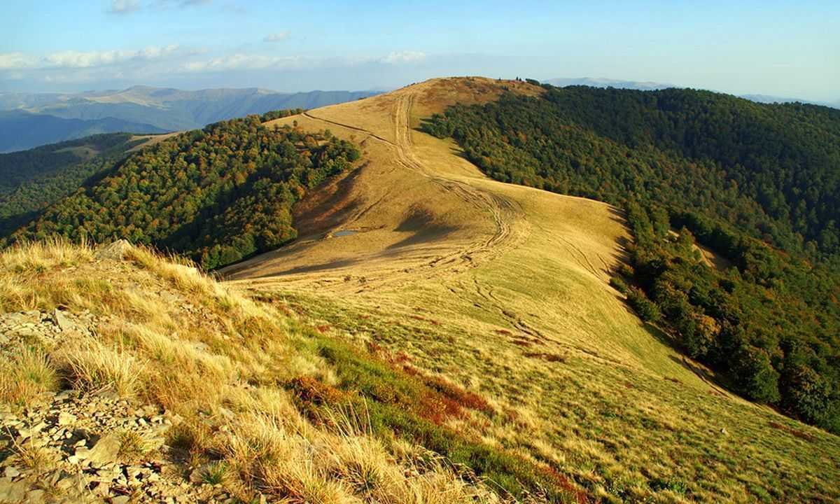 Маршрут полониною Красна, Карпати