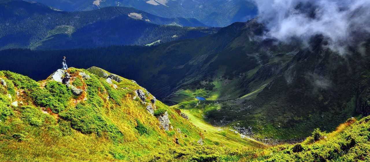 Мармароссы, Карпатские виды