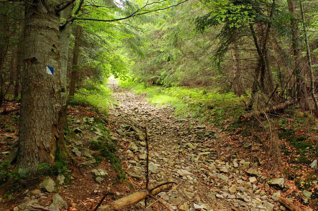 Маршрут на Грофу і Пареньки, масив Горгани