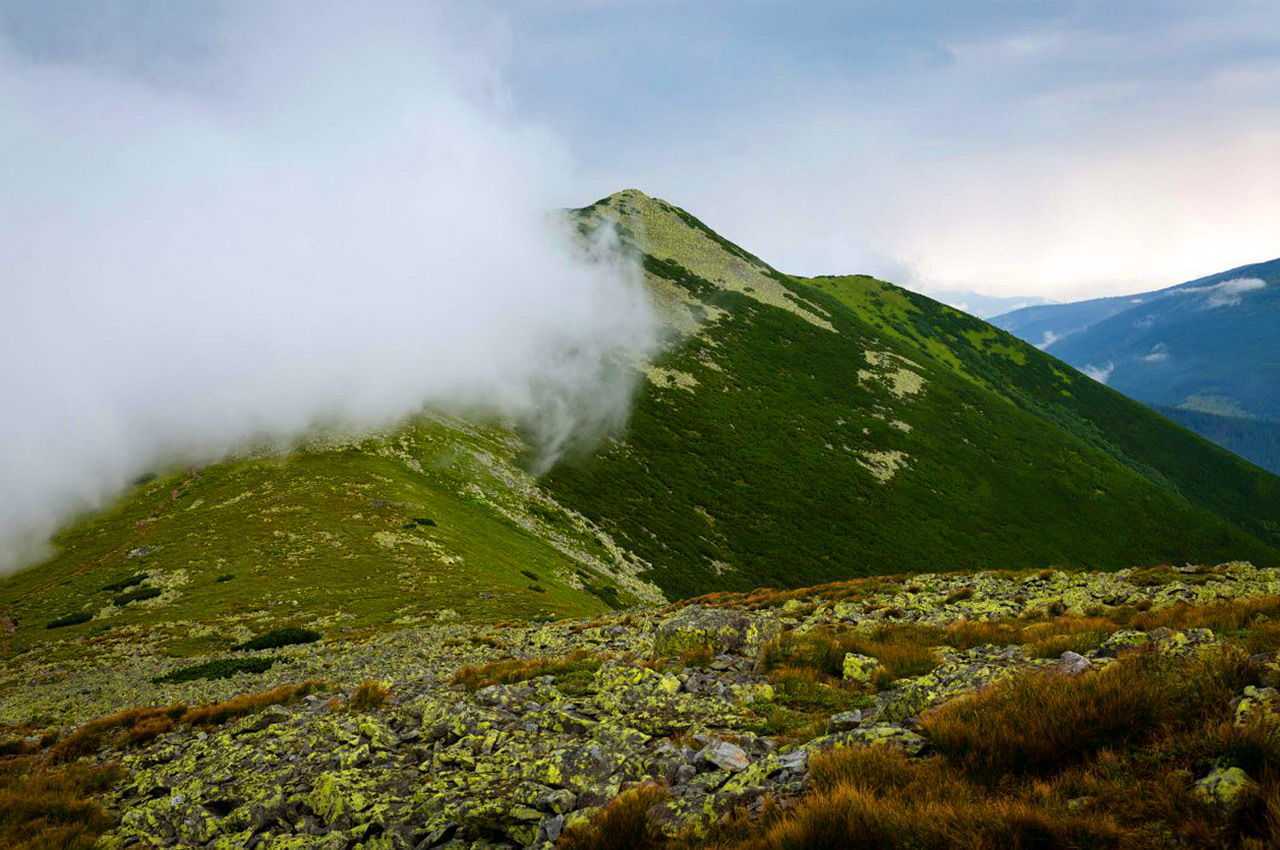 Масив Горгани, гора Велика Сивуля