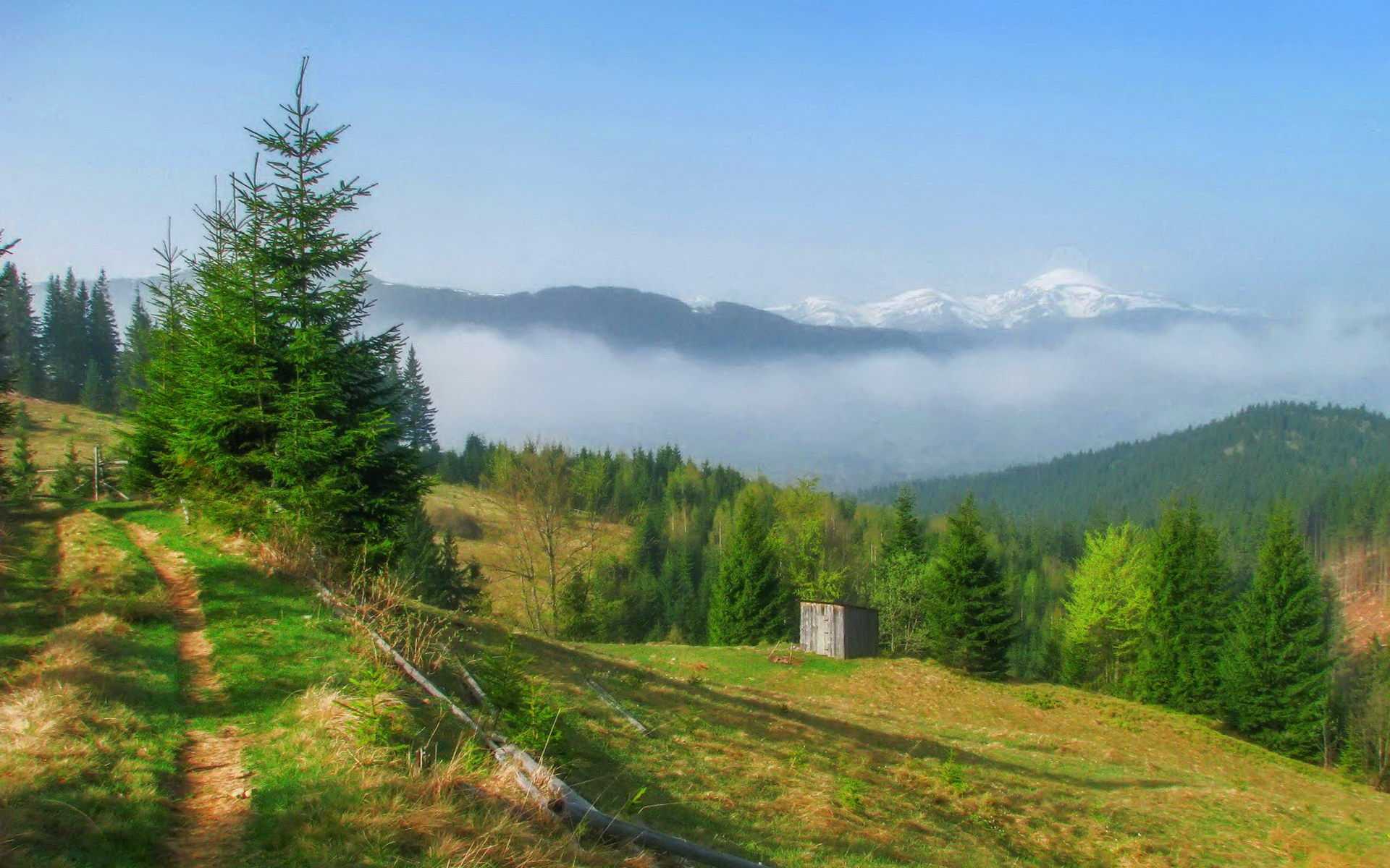 Горное село Воловая, Верховинский район Воловая — горное село Карпат, Верховинский район