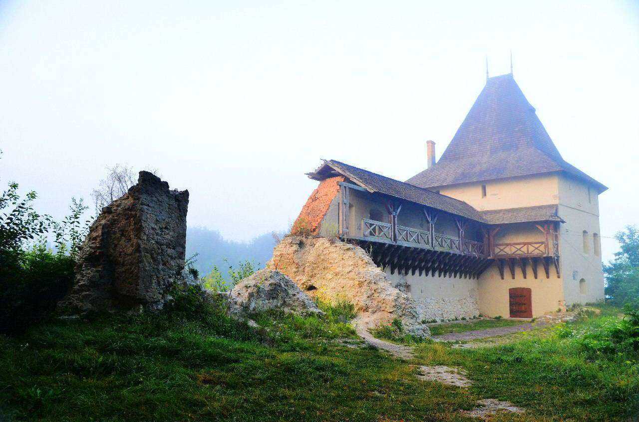 Старостинский (Галицкий) замок Галицкий (Старостинский) замок