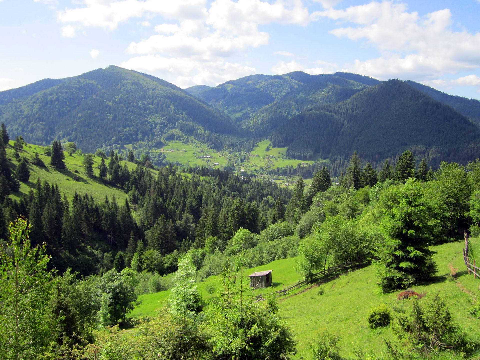 Великолепные пейзажи Карпат в Криворовне с. Криворовня, красивые пейзажи Карпат