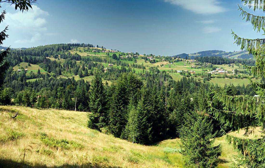 с. Шепот, живописные виды