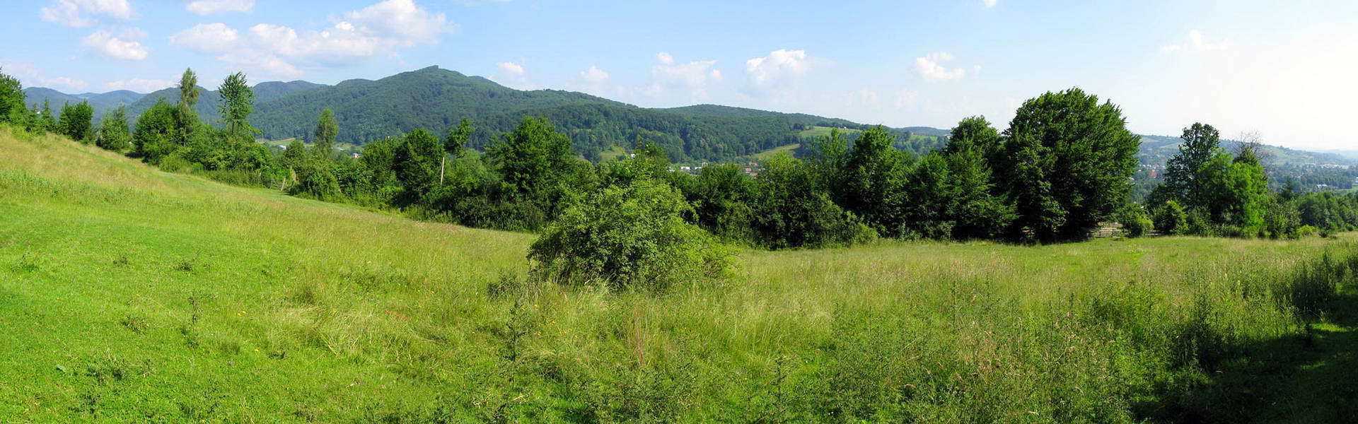 Панорамный вид поселка Яблонов, Косовский район