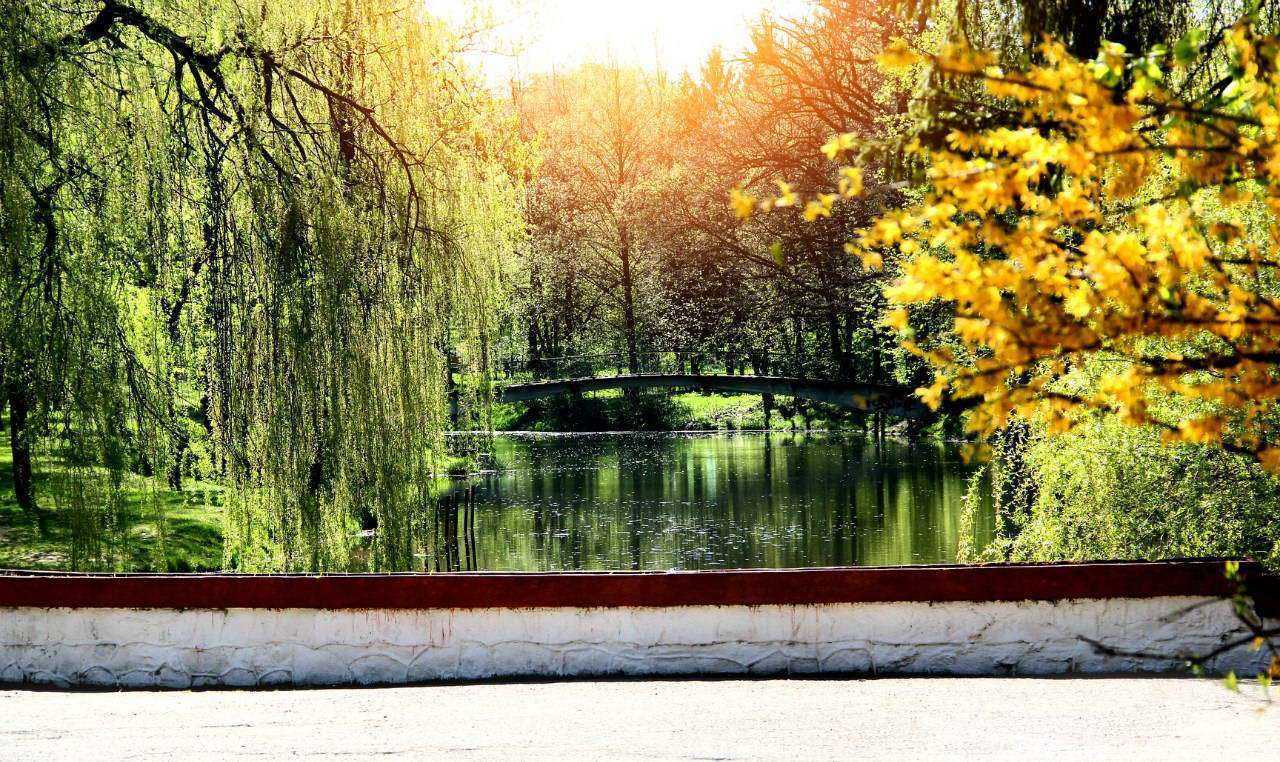 г. Ивано-Франковск, парк имени Тараса Шевченко Парк имени Тараса Шевченко, г. Ивано-Франковск