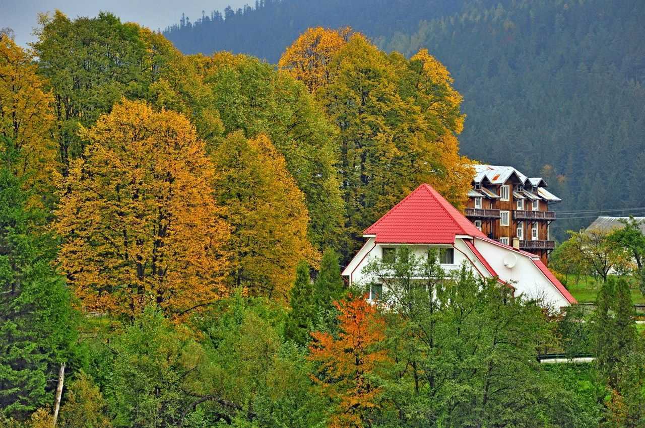 Осень в Татарове Осенние пейзажи Татарова