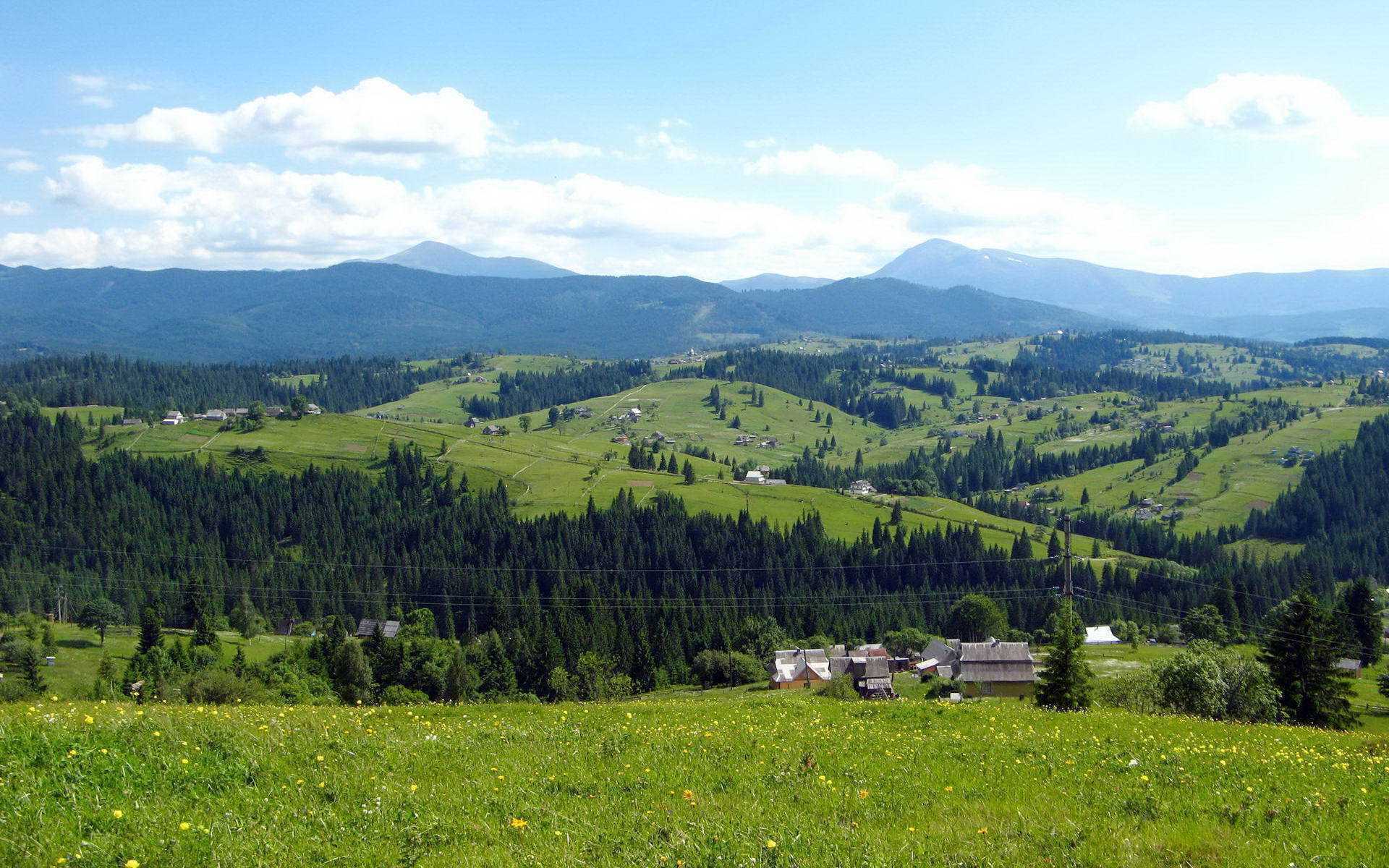 Яблуниця в Карпатах