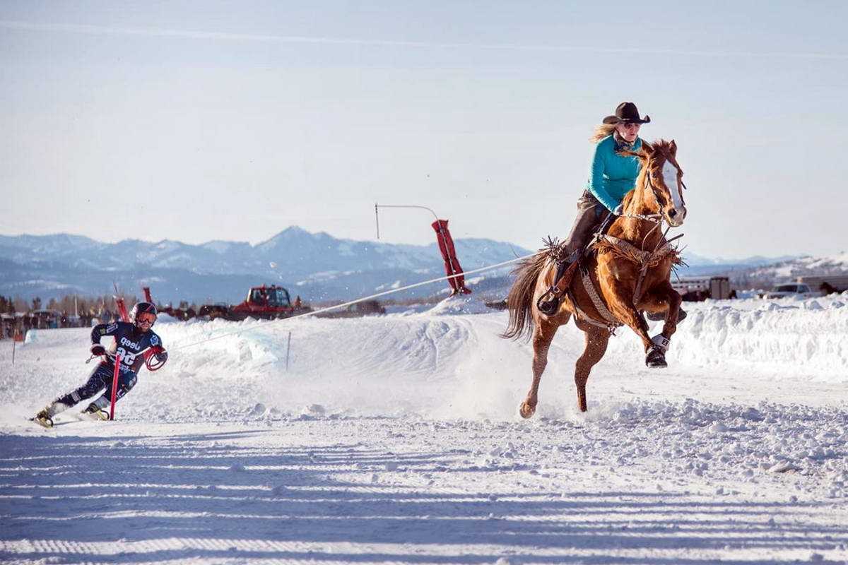 Активний відпочинок. Скіджорінг