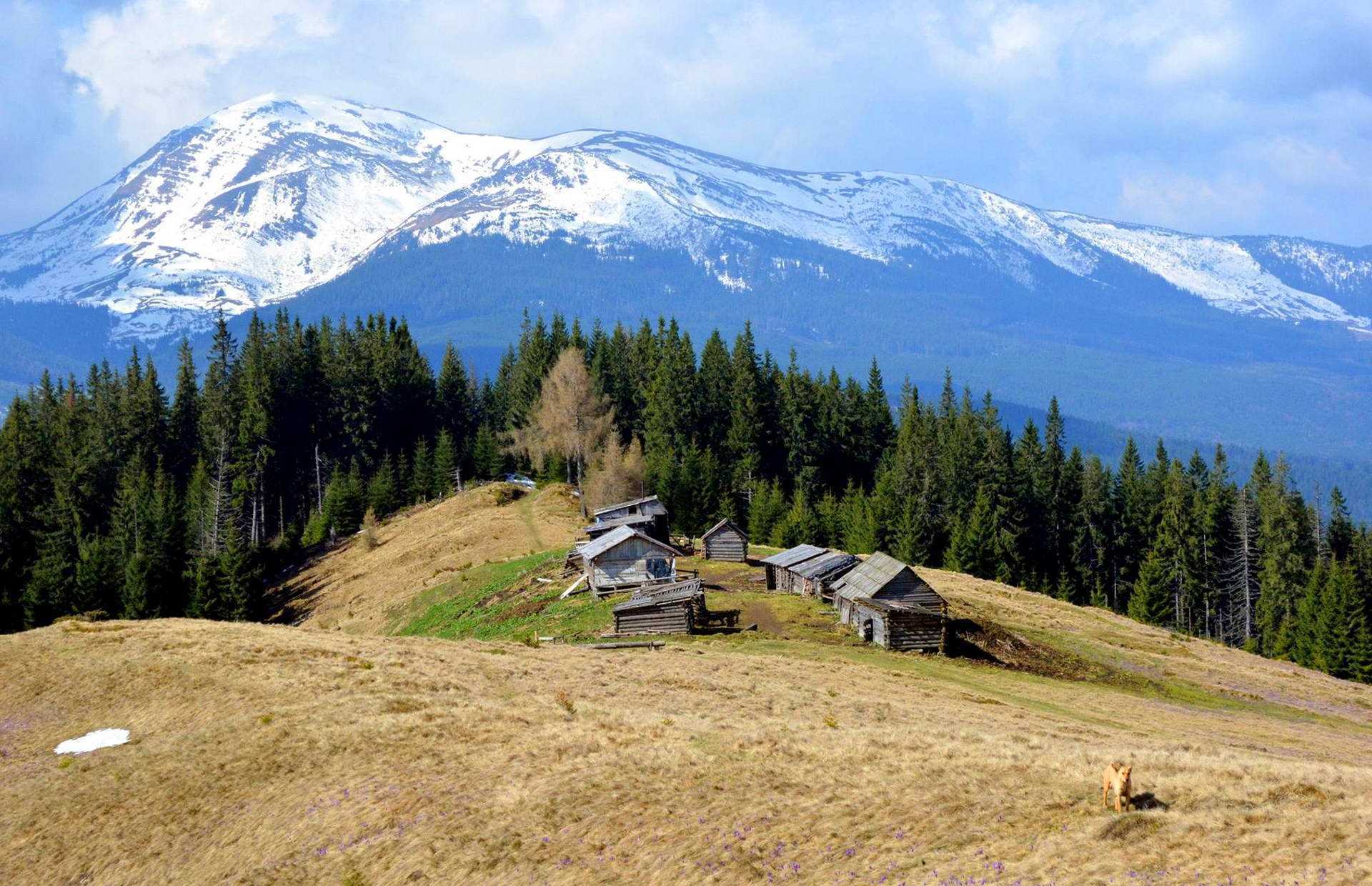 Вид на гору Петрос Панорама горы Петрос