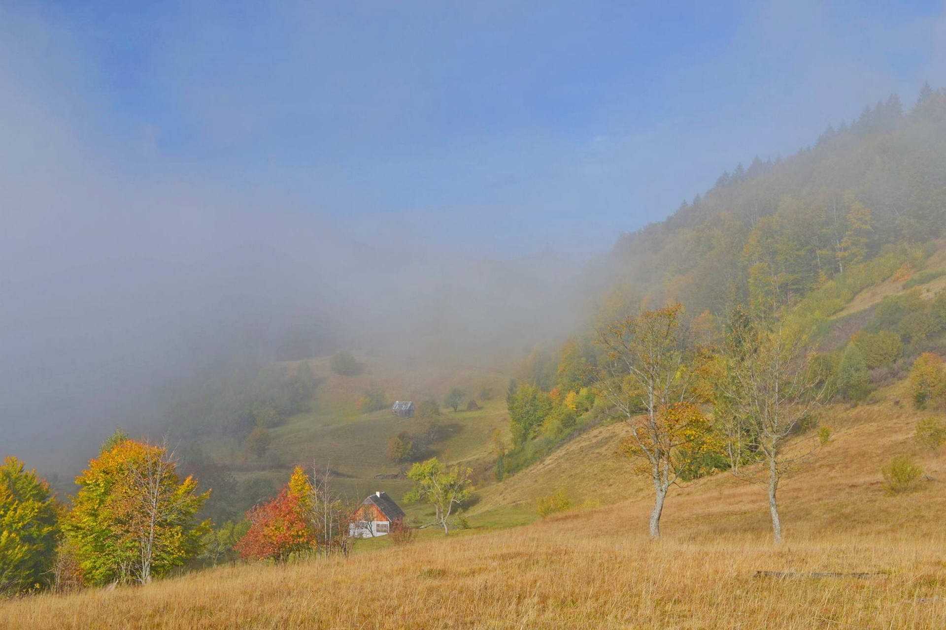 Туман над Квасами Карпаты, туман над поселком Квасы