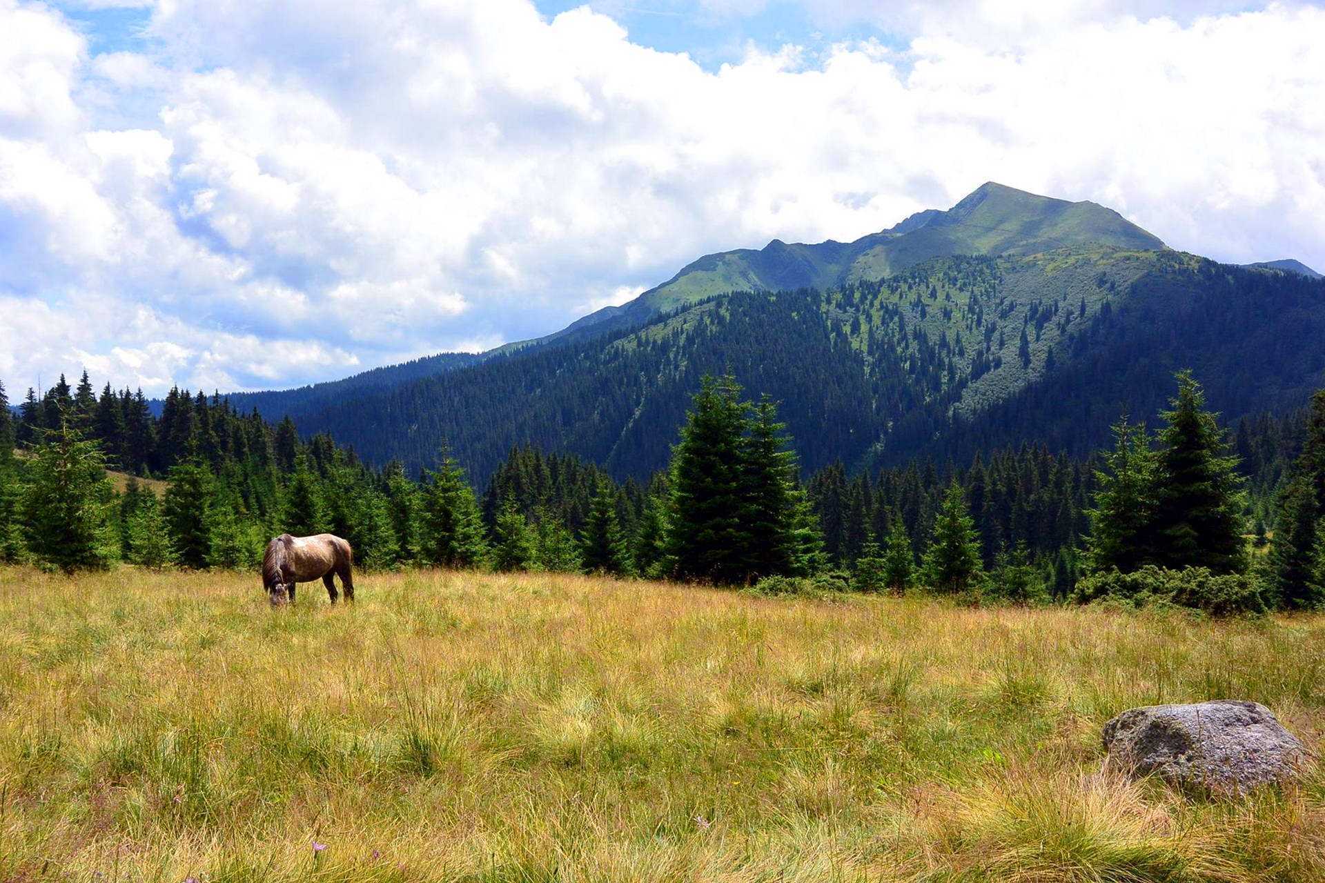 Поп Иван (1936 м), массив Мармаросы