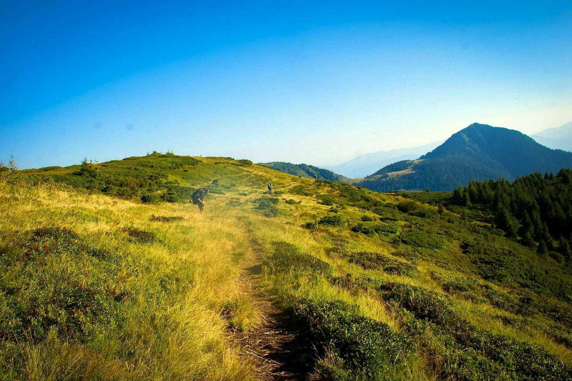 Мармароссы, восхождение на Поп Иван