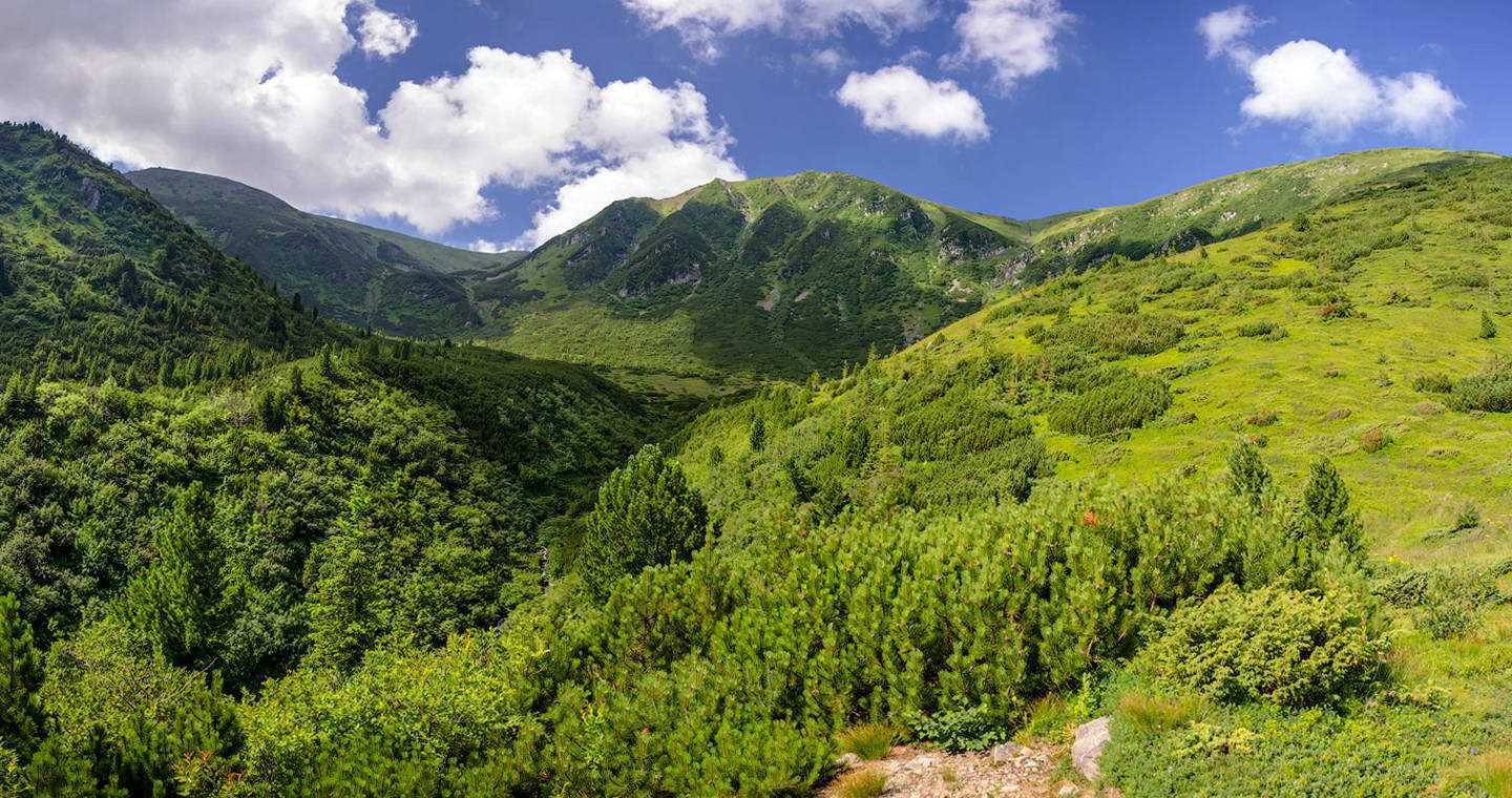 Вид на гору Бребенескул, Горный массив Черногора