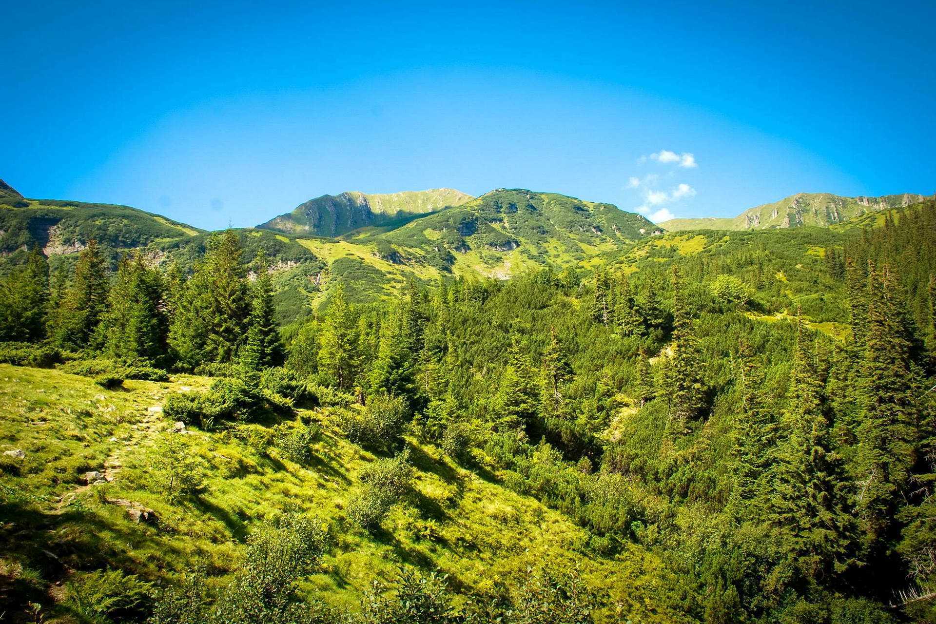 Черногорский хребет, вид на гору Ребра (слева) и Шпицы (справа)