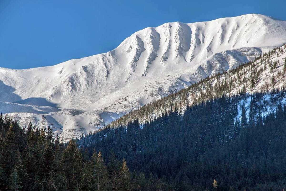 Черногорский хребет, зимние ребра (2001 м)