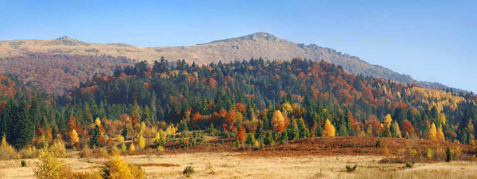 Вид на вершину Пикуй (1408 м)