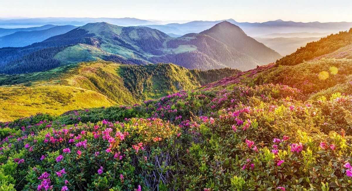 Туристичний маршрут Мармаросами із Ділового Подорож Мармаросами із Ділового