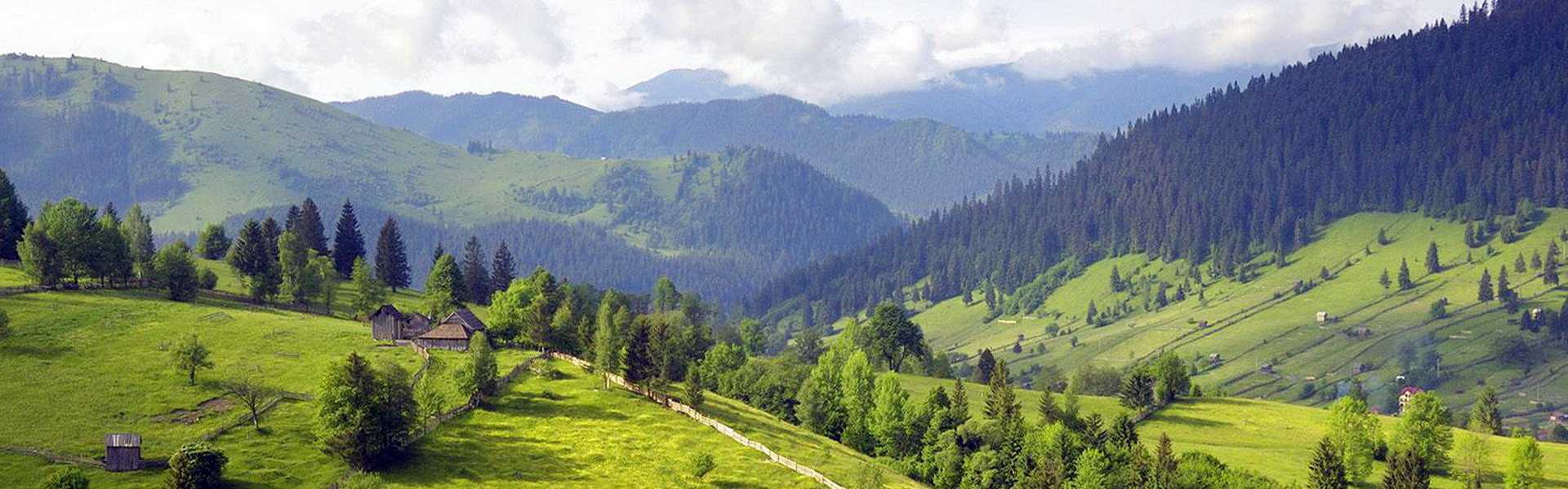 Осінні барви Поляниці, Карпати Карпати, осінні красоти Поляниці