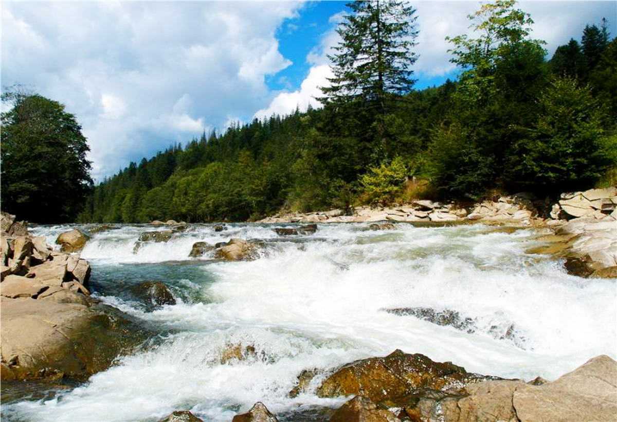 Мизунские вдп.