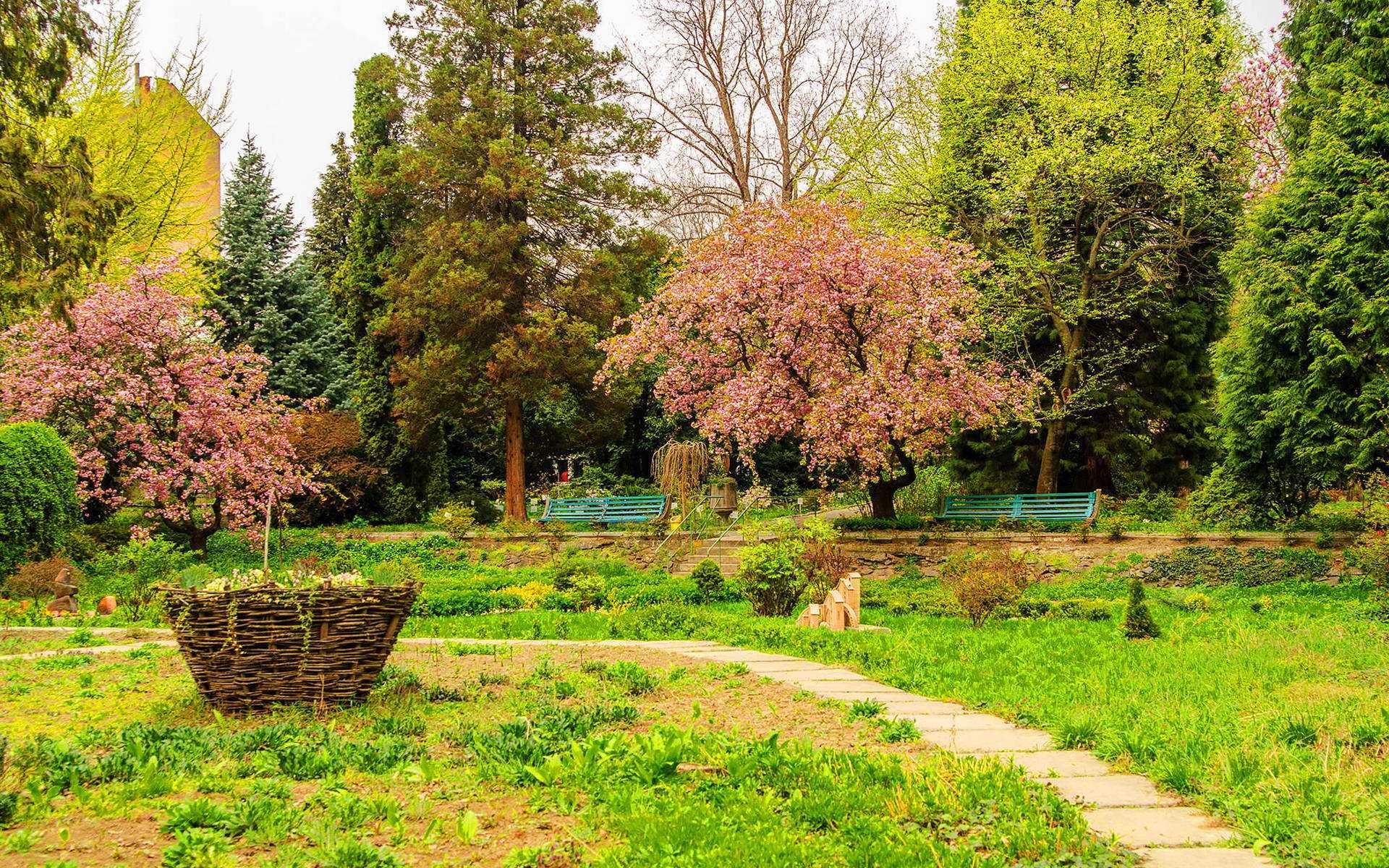 Відпочинок в Ужгороді. Ботанічний сад