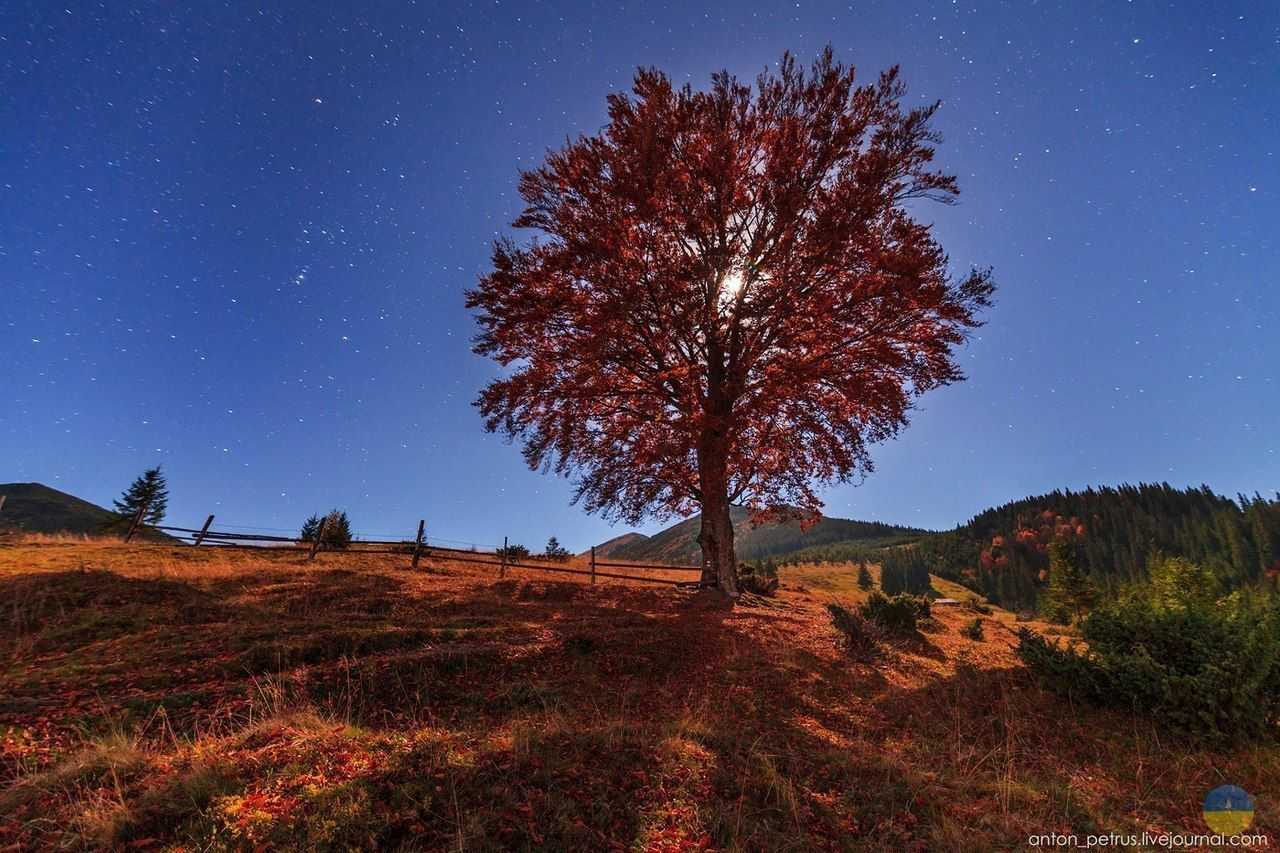 Туристический маршрут из с. Демброня
