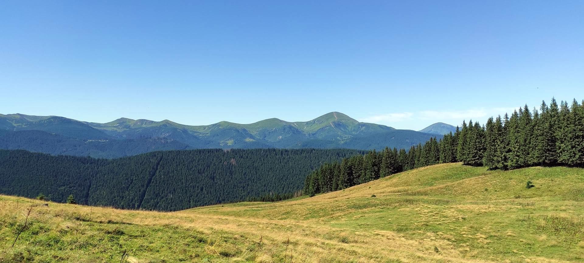 Полонина Веснарка, вид на Черногорский хребет