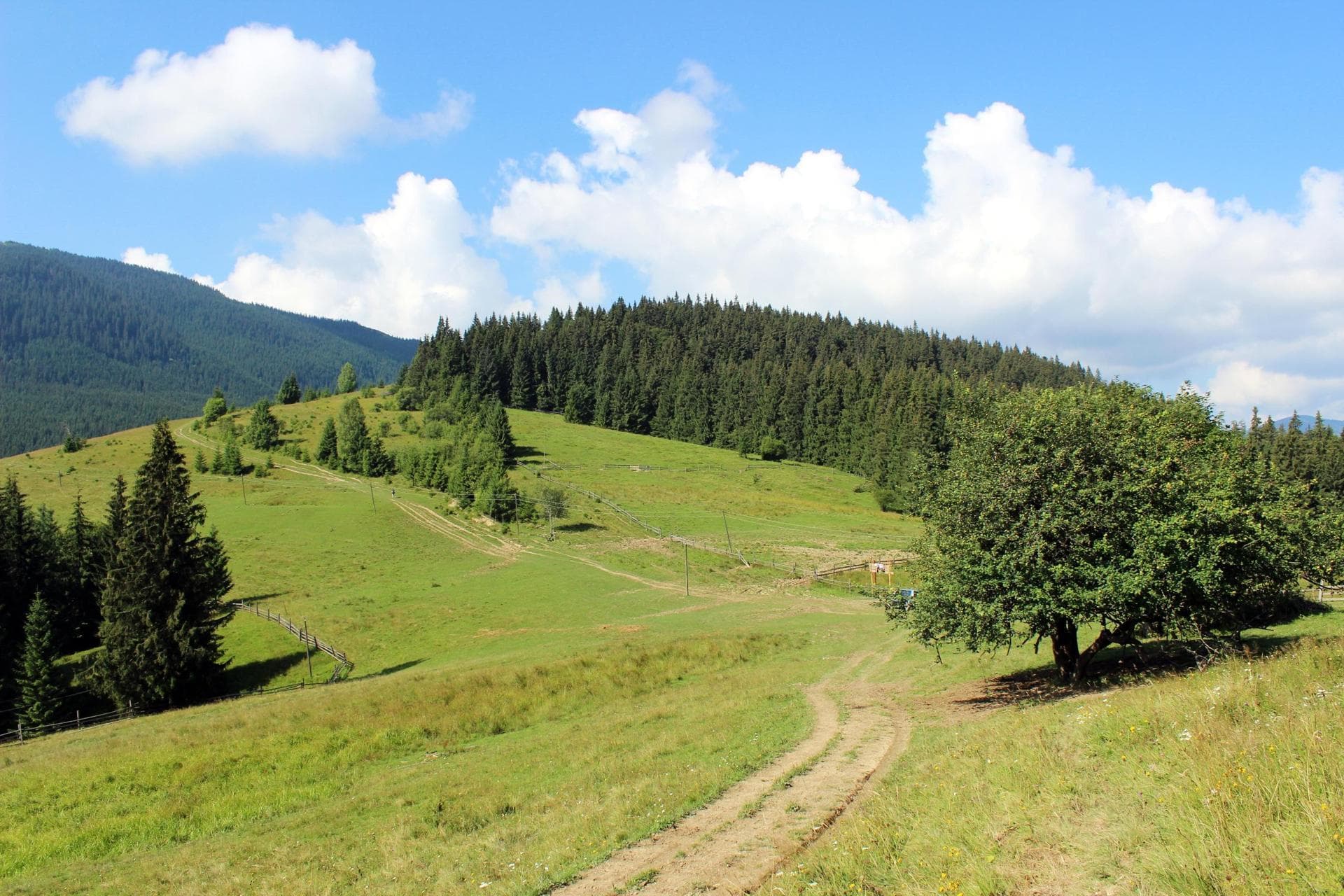 Маршрут на гору Кострича, вид на сыроварню