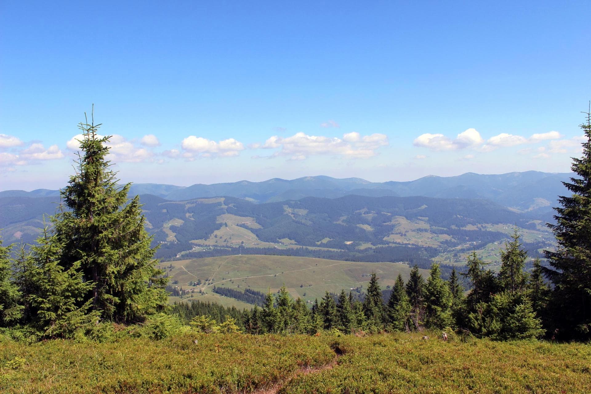 Карпаты, живописные виды с горы Кострича 1586 м