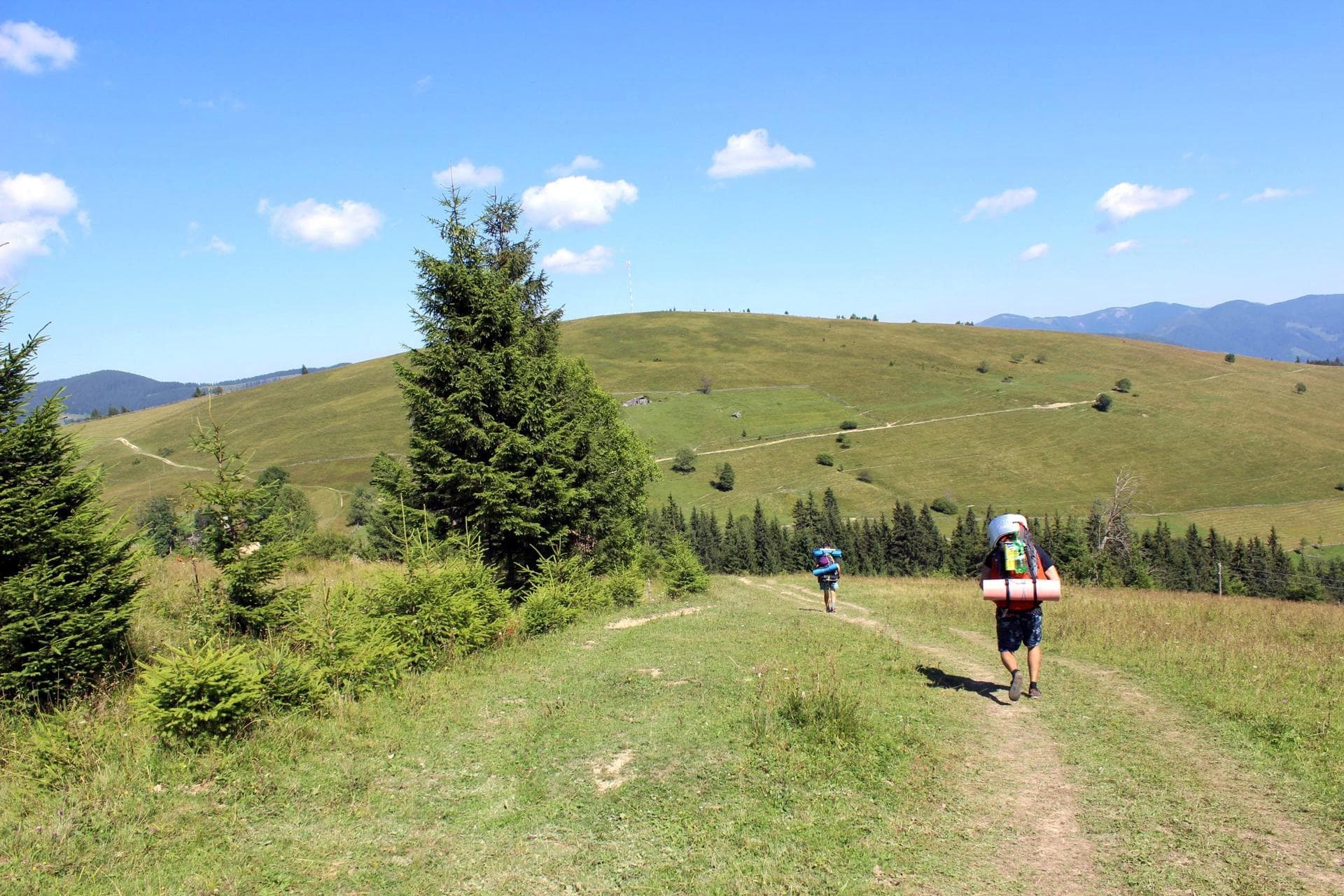 Карпаты, туристический поход на вершину Кострича 1586 м
