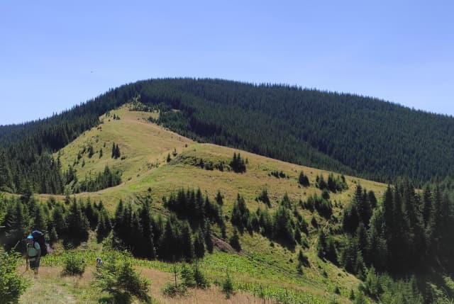 Маршрут на гору Кострича (1586 м)