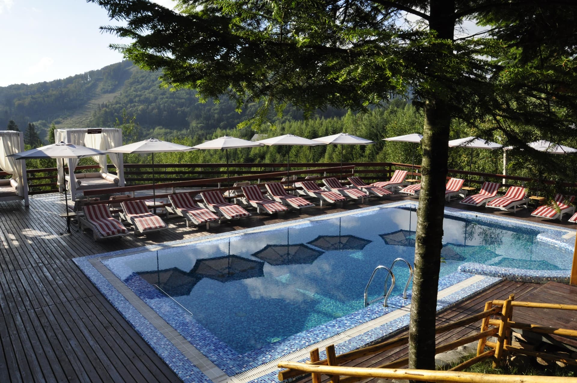 «Карпати Мигово», басейн